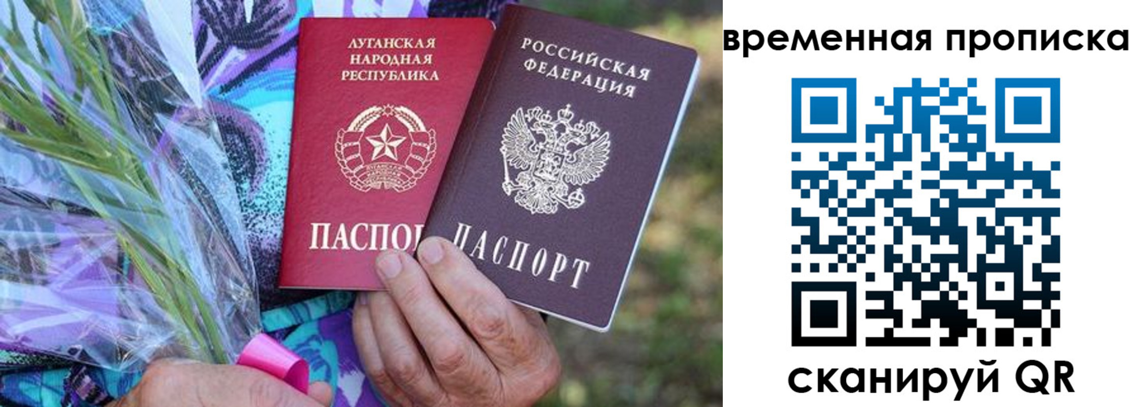 купить прописку в Павлово